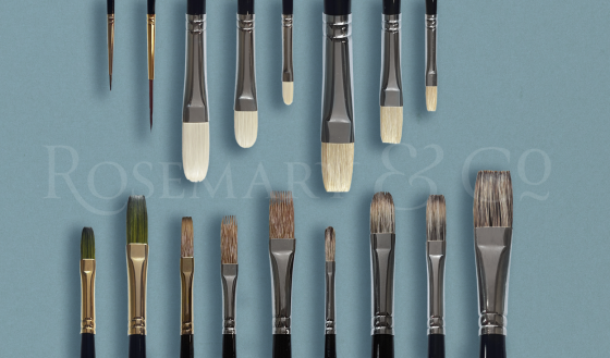 BILL SUYS INTRODUCTORY SET