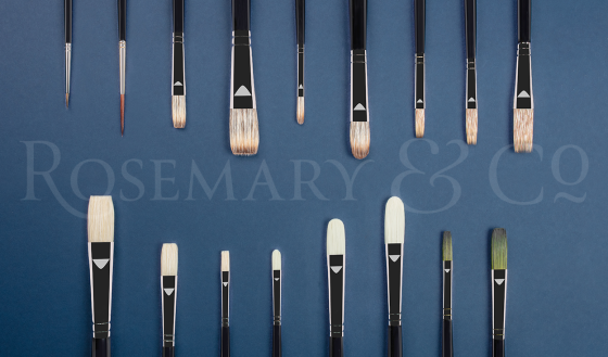 BILL SUYS INTRODUCTORY SET