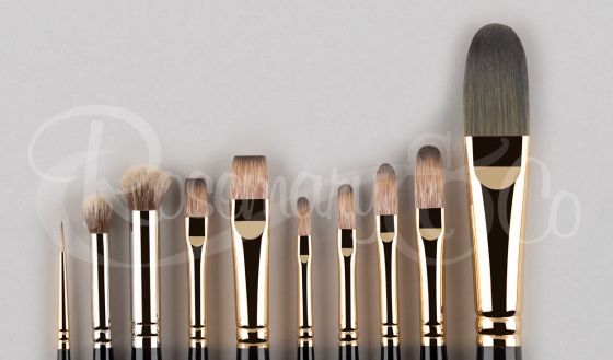 DIARMUID KELLY - MASTERING OILS - REALISM (BEGINNER SET)