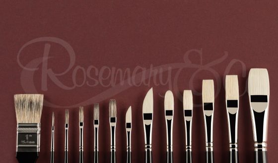 KATHIE ODOM BRUSH SET