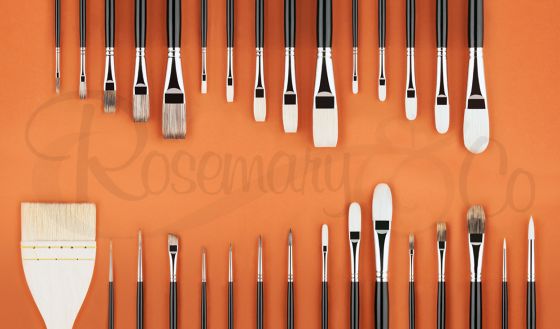 BILL SUYS PROFESSIONAL BRUSH SET