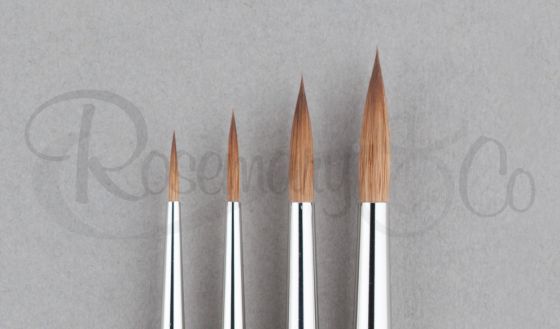 Jane Blundell Artist: Rosemary & Co Travel Brushes (full range) updated  July 2021