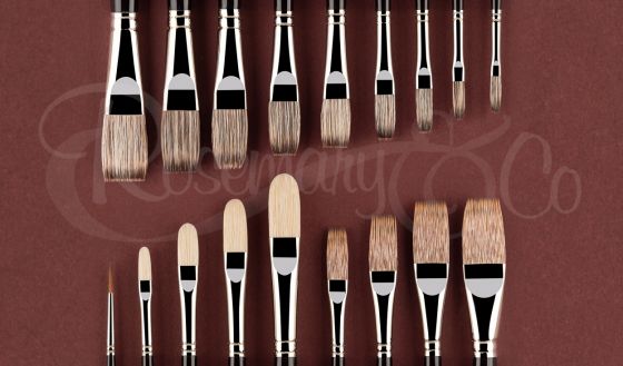 HAMID ABBASI PROFESSIONAL BRUSH SET 