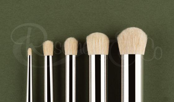 MODEL DRY BRUSH