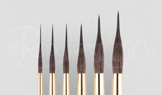 Fine Point Paint Brush With 3 Long Pointed Bristle