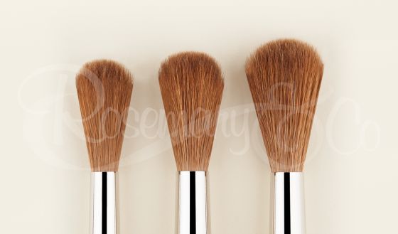 Rosemary & Co : Watercolor Brush : Set of 3