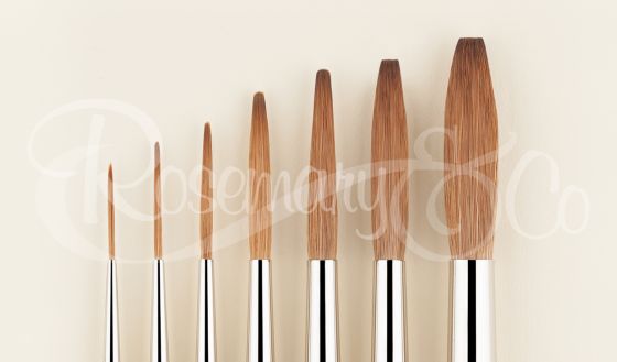 Frequently Asked Questions  Rosemary & Co Artist's Brushes