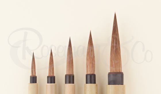 SERIES 36. JAPANESE POINTED BAMBOO