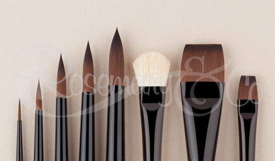 Jane Blundell Artist: Rosemary & Co Travel Brushes (full range) updated  July 2021