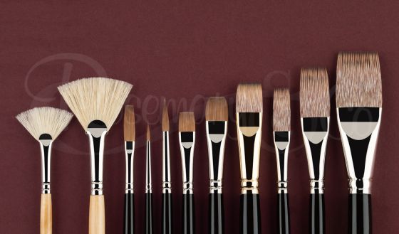 SUSAN LYON'S BRUSH SELECTION