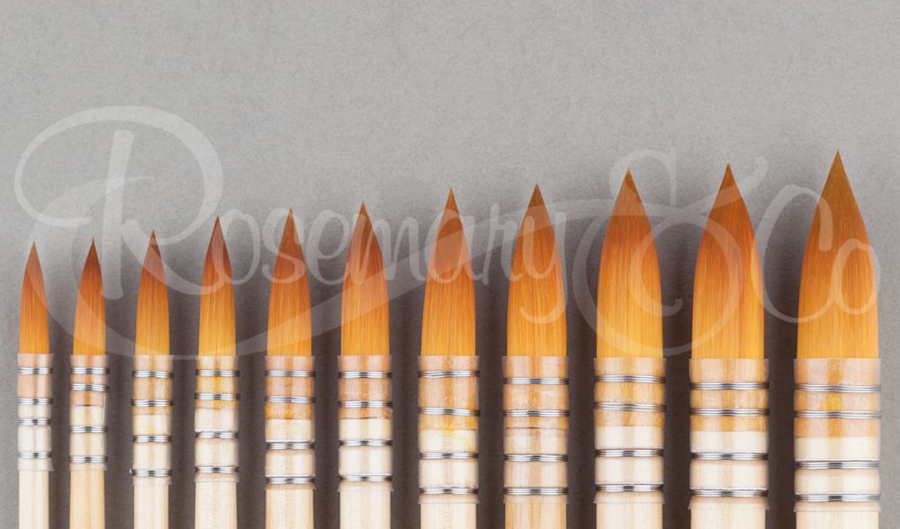 SERIES 304. POINTED GOLDEN SYNTHETIC