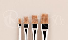 CHOOSE YOUR SIZE Highest Quality Rosemary /& Co Artist Model Dry Brush Series
