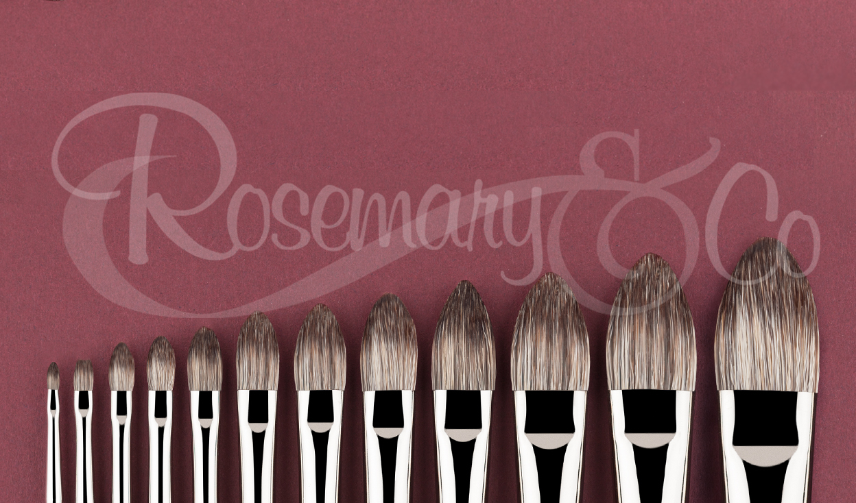 Rosemary & Co Ultimate Bristle Filbert Full Range 